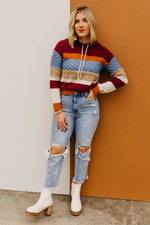 The Sylvie Mix Media Hooded Sweater