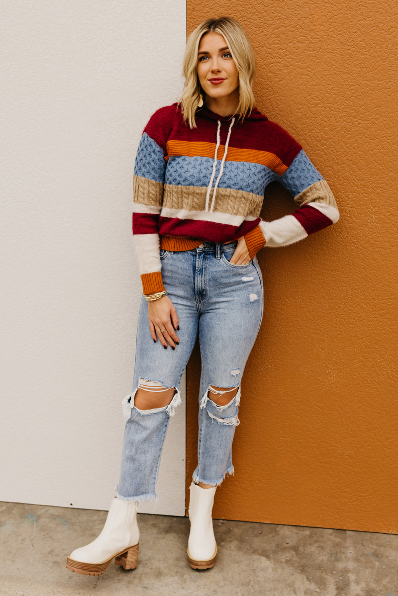 The Sylvie Mix Media Hooded Sweater