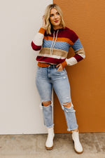 The Sylvie Mix Media Hooded Sweater