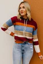 The Sylvie Mix Media Hooded Sweater