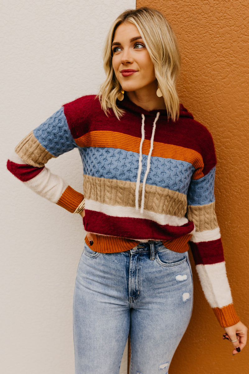 The Sylvie Mix Media Hooded Sweater