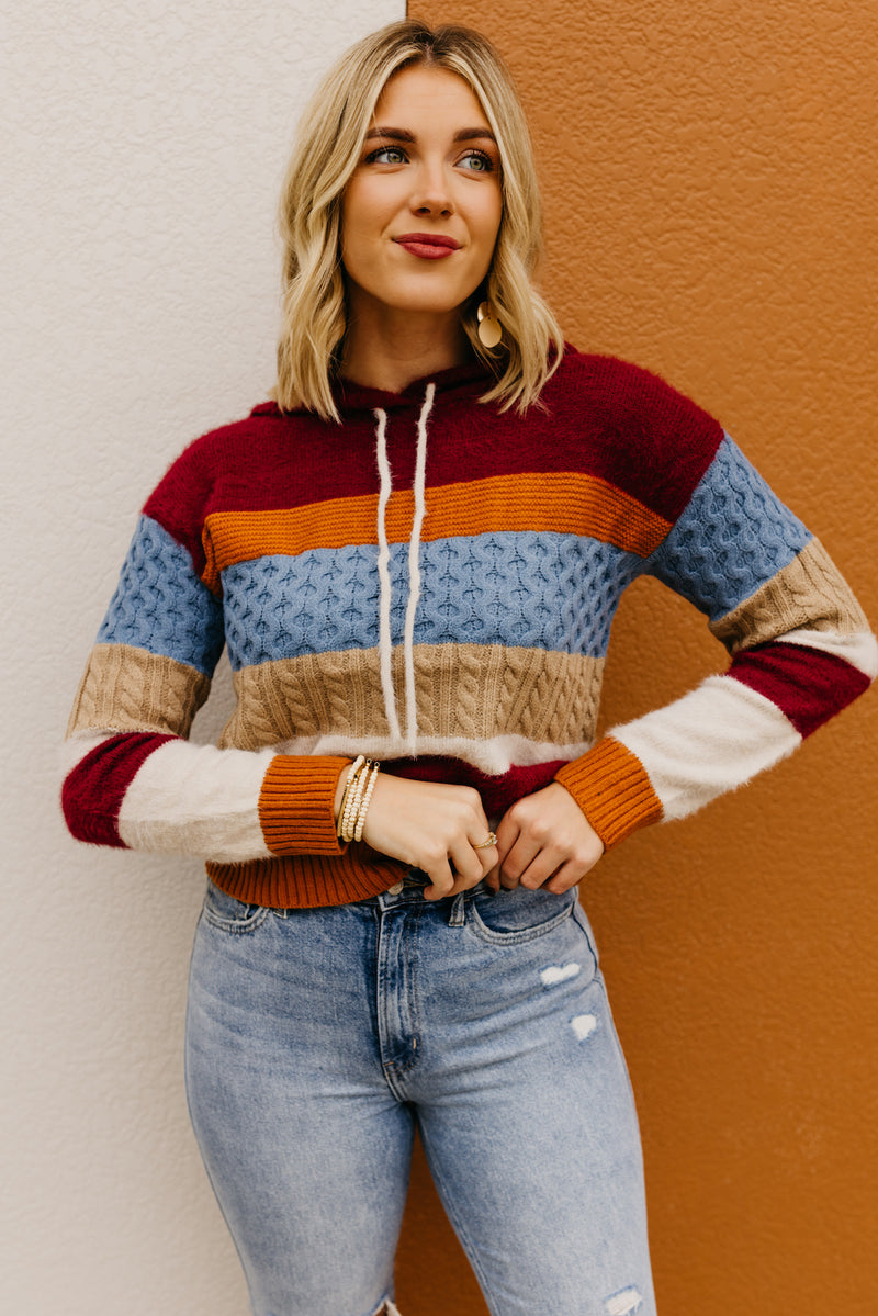The Sylvie Mix Media Hooded Sweater