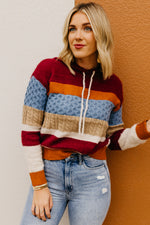 The Sylvie Mix Media Hooded Sweater