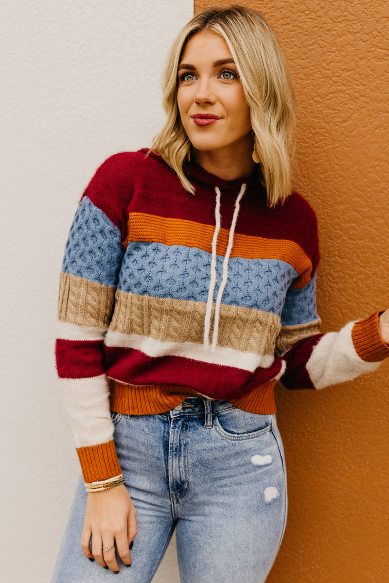 The Sylvie Mix Media Hooded Sweater