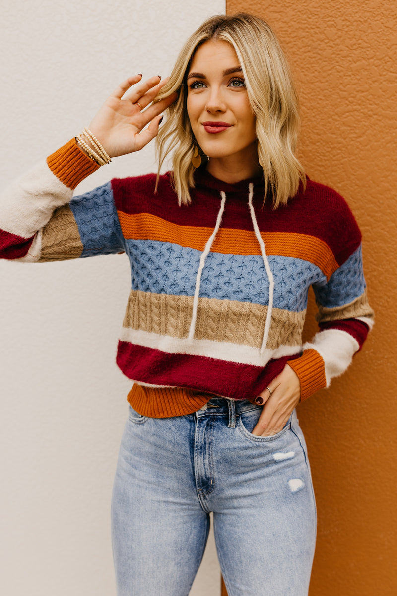 The Sylvie Mix Media Hooded Sweater