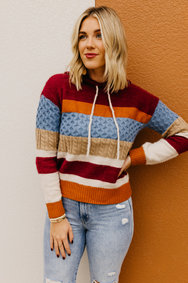 The Sylvie Mix Media Hooded Sweater