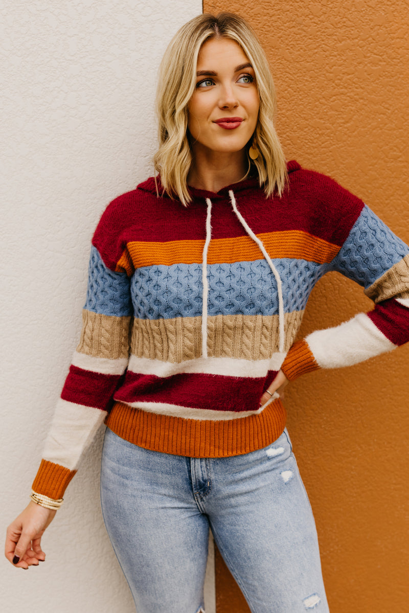 The Sylvie Mix Media Hooded Sweater