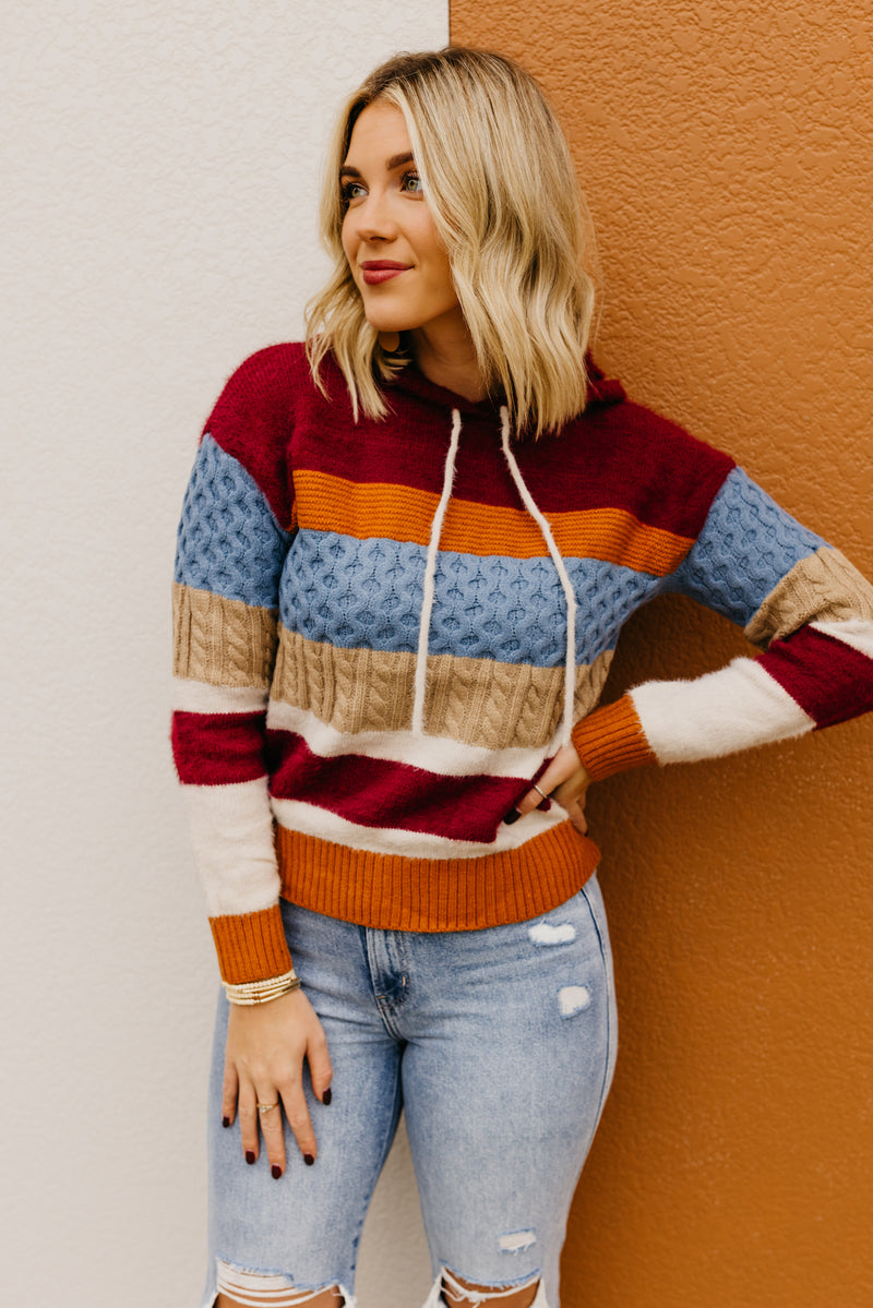 The Sylvie Mix Media Hooded Sweater