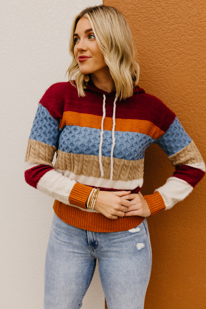 The Sylvie Mix Media Hooded Sweater