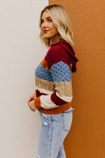 The Sylvie Mix Media Hooded Sweater
