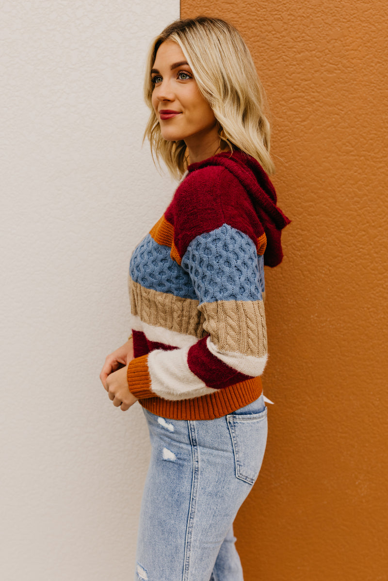 The Sylvie Mix Media Hooded Sweater