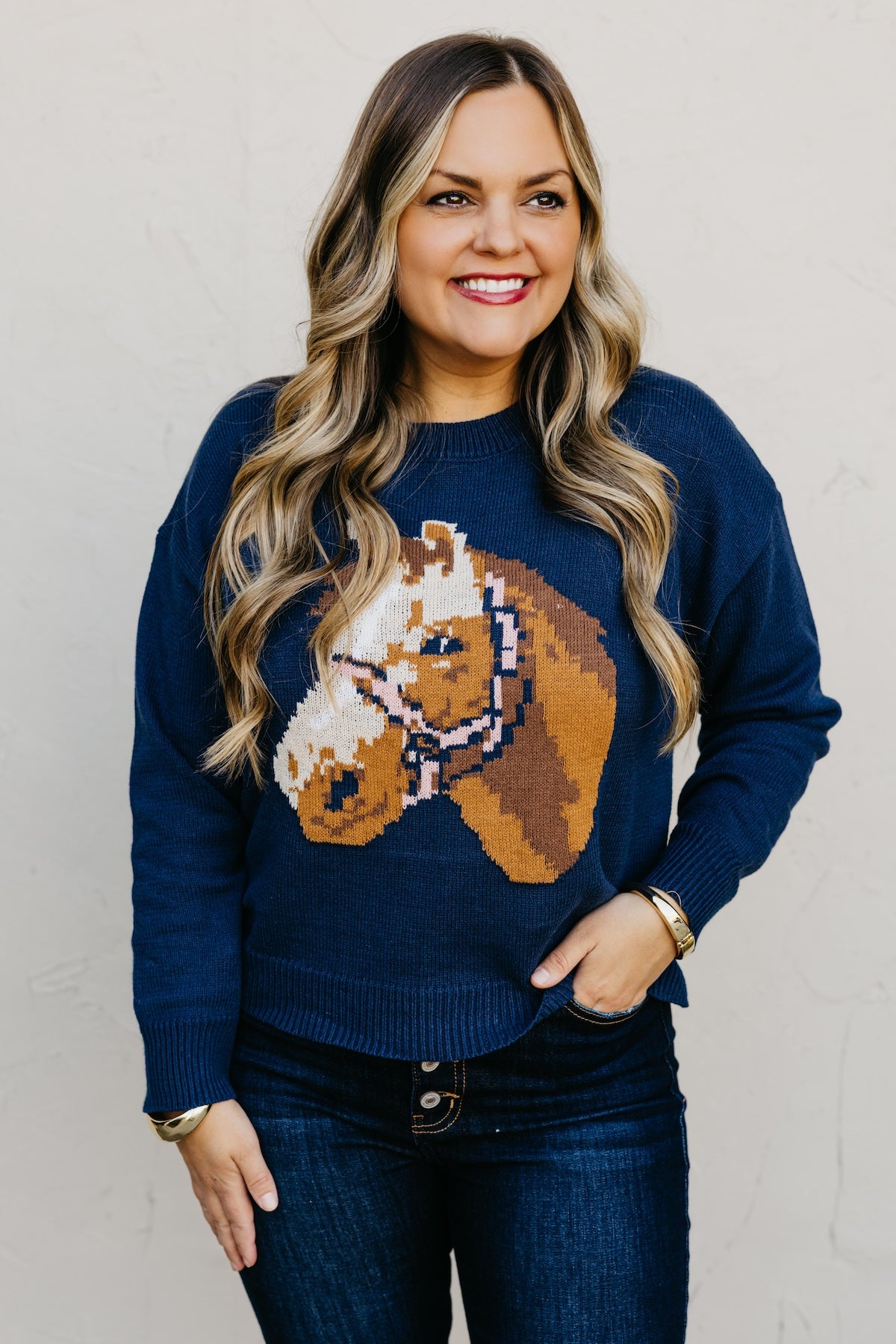 The Siri Horse Pattern Sweater