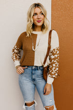 The Higgins Animal Print Colorblock Sweater