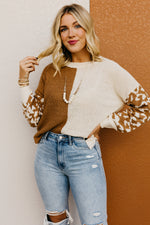 The Higgins Animal Print Colorblock Sweater