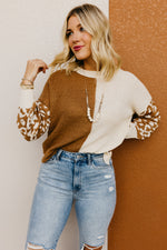 The Higgins Animal Print Colorblock Sweater