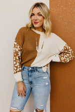 The Higgins Animal Print Colorblock Sweater