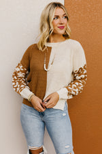 The Higgins Animal Print Colorblock Sweater