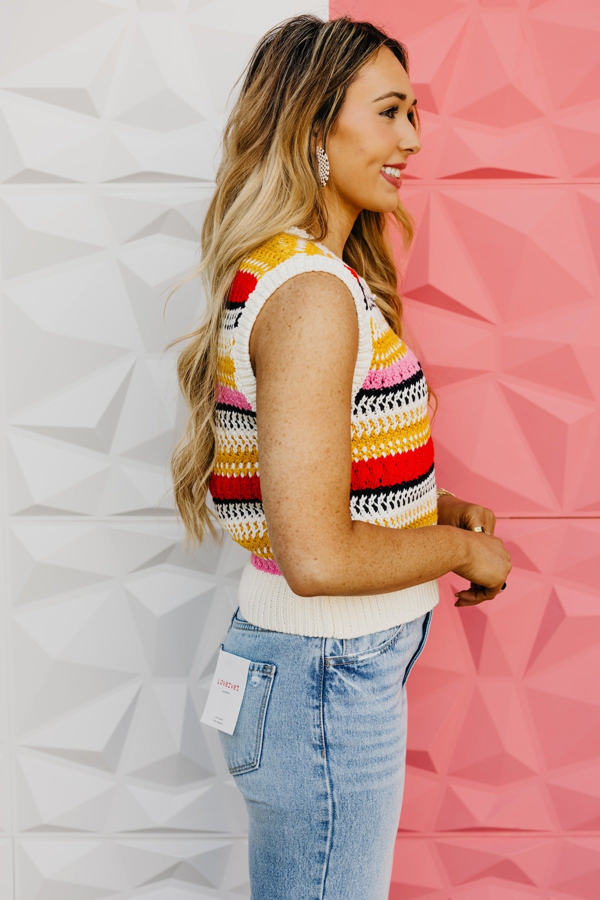 The Jesseline Color Block Sweater Vest