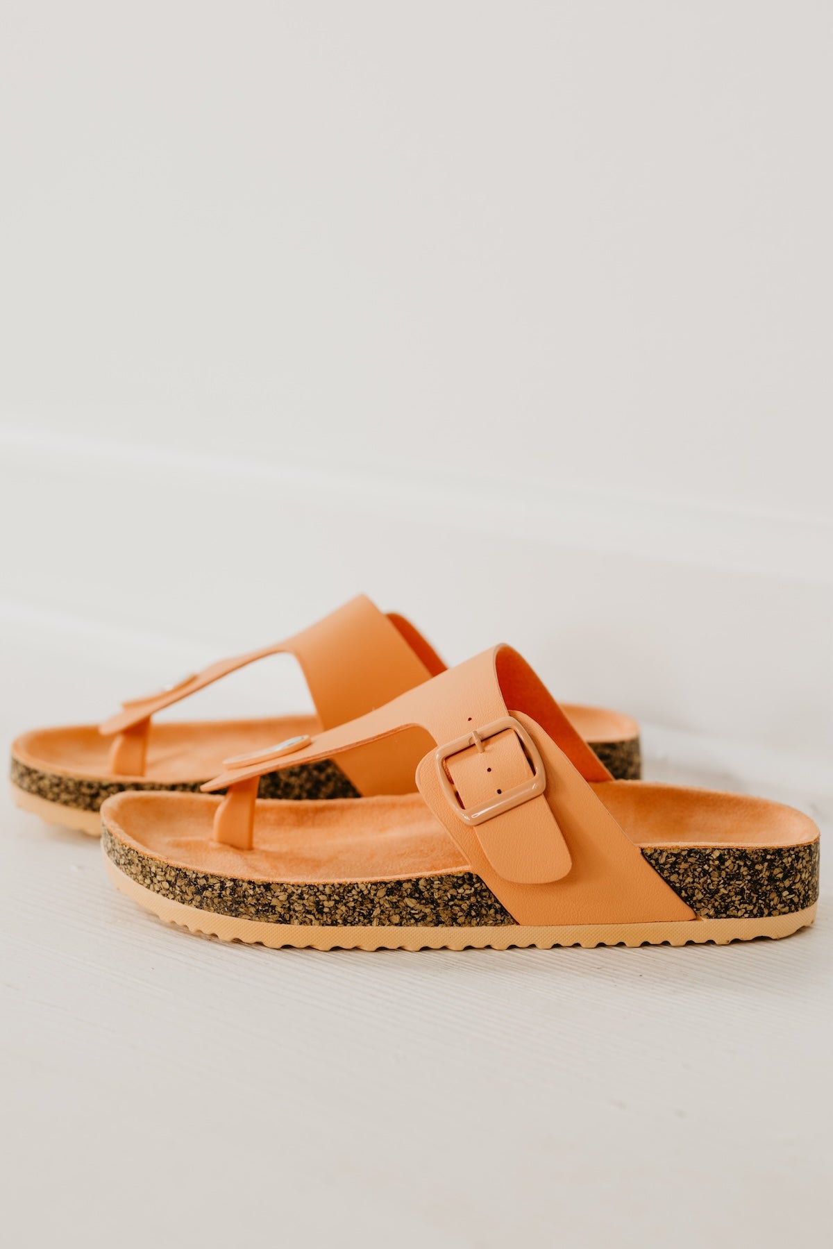 The Audrina Thong Slide Sandal