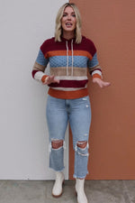 The Sylvie Mix Media Hooded Sweater