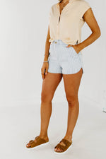 The Erica Pinstripe Denim Shorts