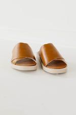 The Jasper Slide - Camel