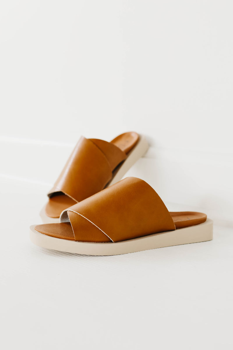 The Jasper Slide - Camel